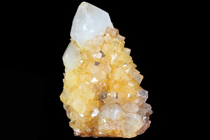 Sunshine Cactus Quartz Crystal - South Africa #80193